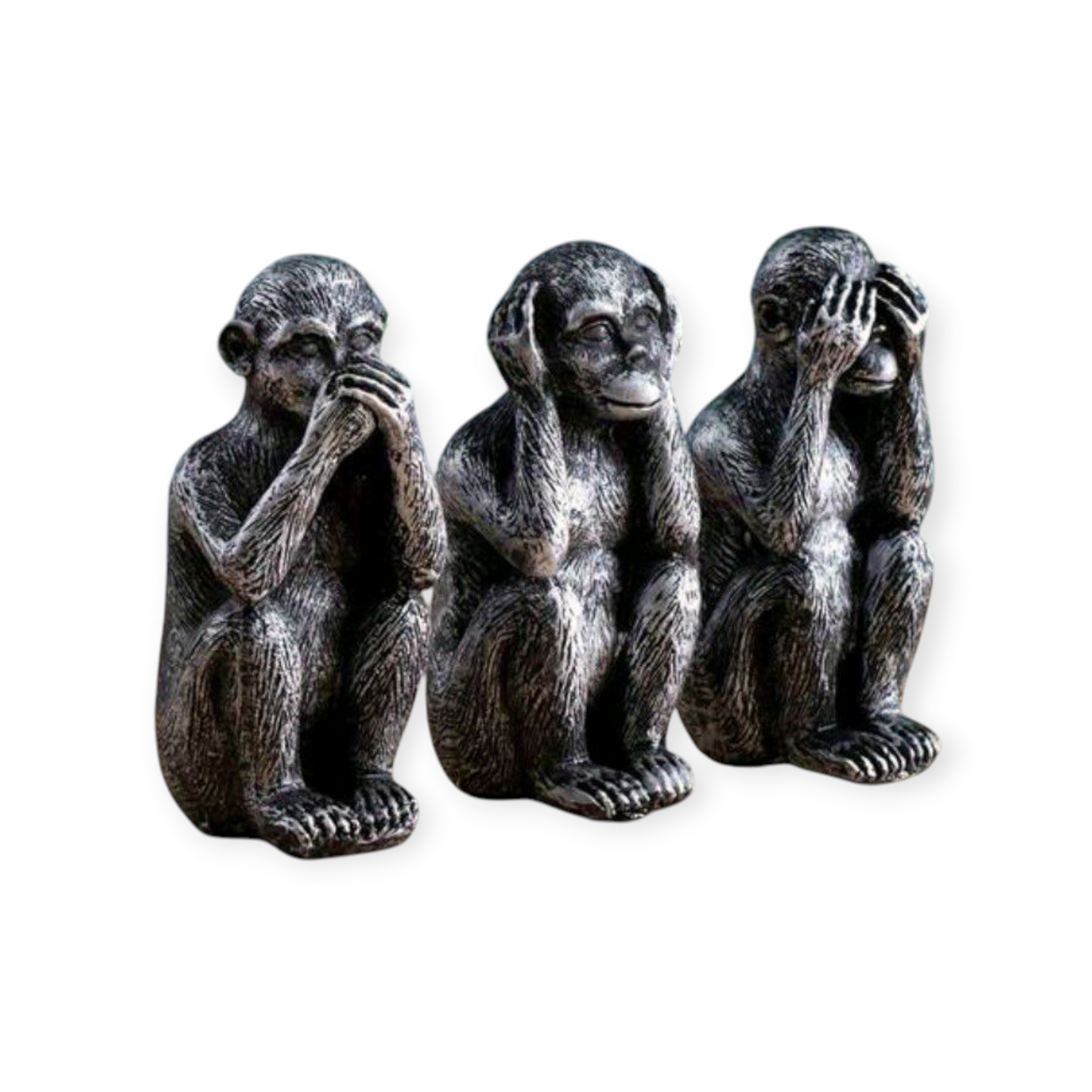3 Wise Monkeys