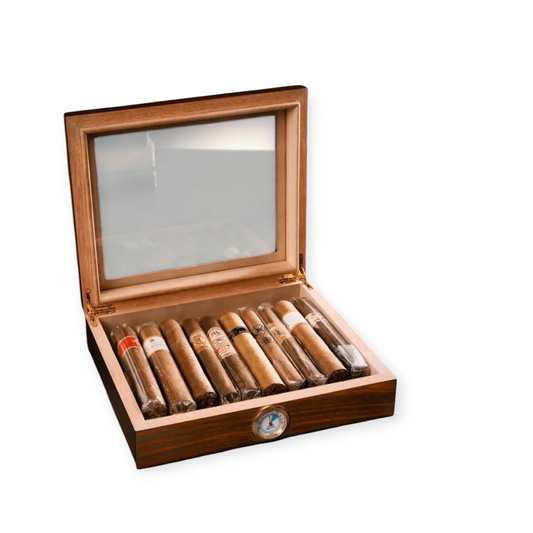 Cigar Humidor